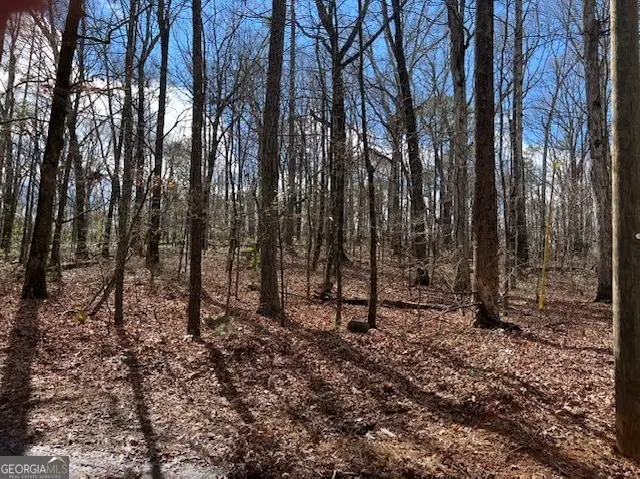 3871 Martin Drive, Ellenwood, GA 30294 - Image #1