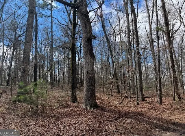 3871 Martin Drive, Ellenwood, GA 30294 - Image #2