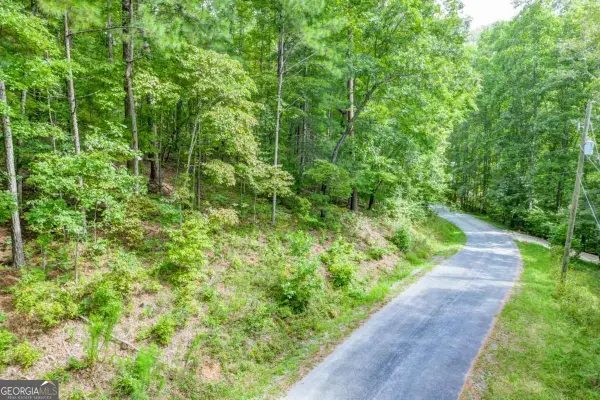 1609 Carmen Way #1609, Ranger, GA 30734