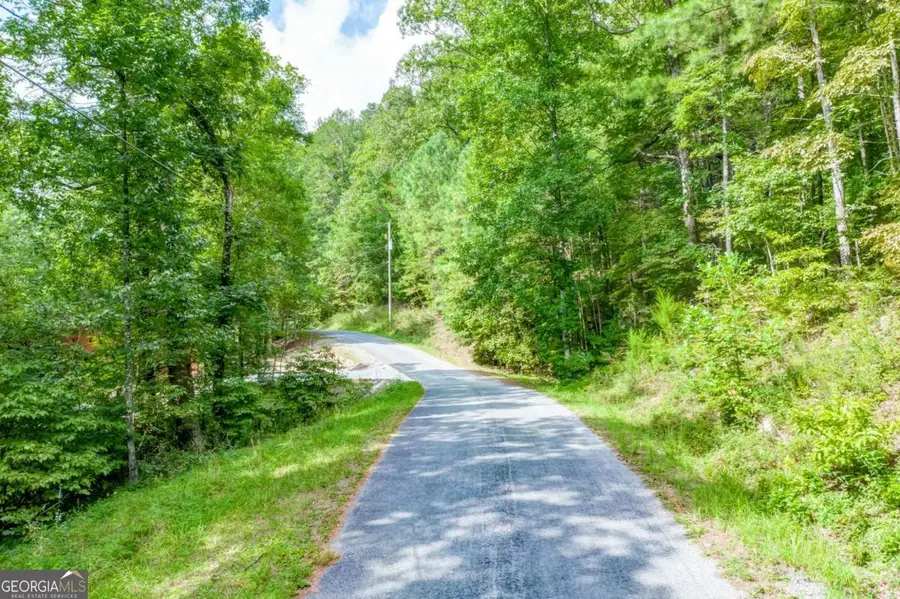 1609 Carmen Way #1609, Ranger, GA 30734 - Image #2