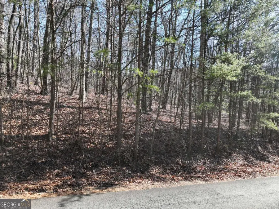 57 St Andrews Way, Ellijay, GA 30536 - Image #3