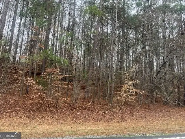 0 Cascade Palmetto Highway, Chattahoochee Hills, GA 30213 - Image #2