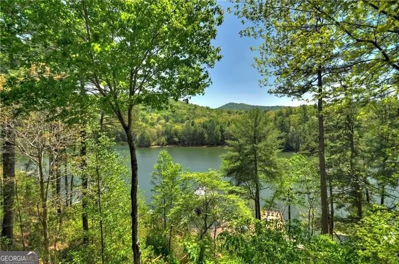 670 Magnolia Drive, Blue Ridge, GA 30513 - Image #3
