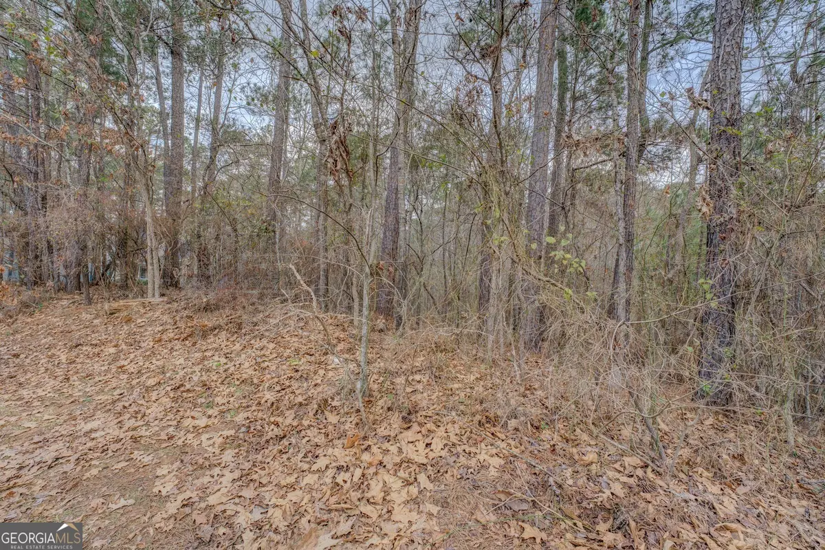 0 Goldeneye Court #LOT 90, Monticello, GA 31064 - Image #1