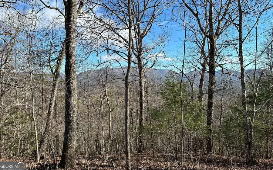 0 Clark Drive, Hiawassee, GA 30546 - Image #3