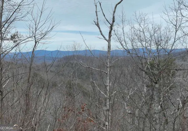 235 Andes Ridge Drive, Ellijay, GA 30536