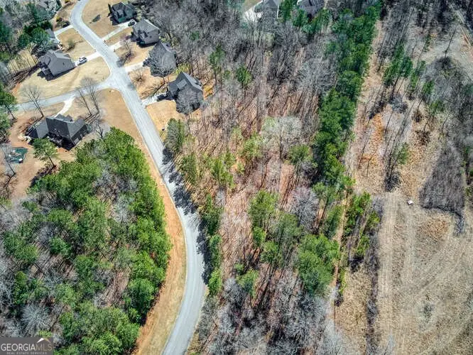 263 Principal Meridian Drive, Dallas, GA 30132 - Image #2