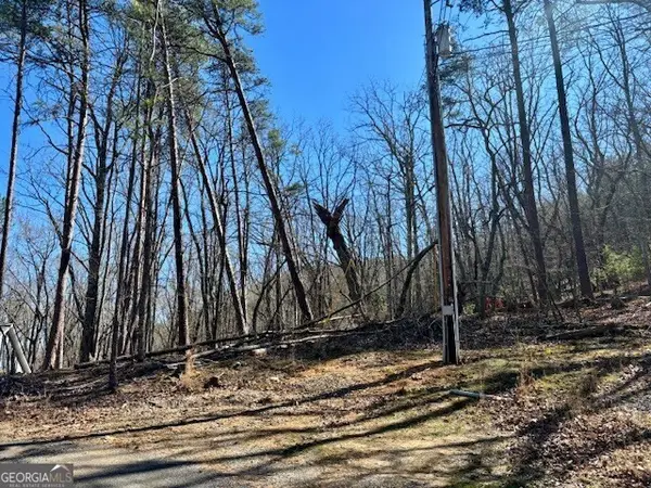 125 Gum Wood Court, Waleska, GA 30183