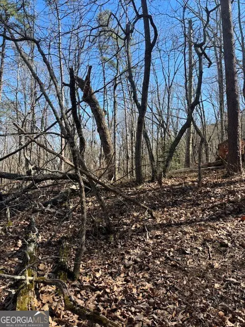 125 Gum Wood Court, Waleska, GA 30183 - Image #2