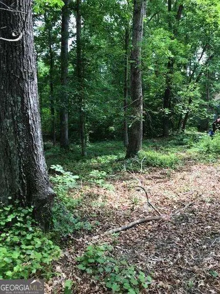 3291 Chesterfield Court, Snellville, GA 30039 - Image #1