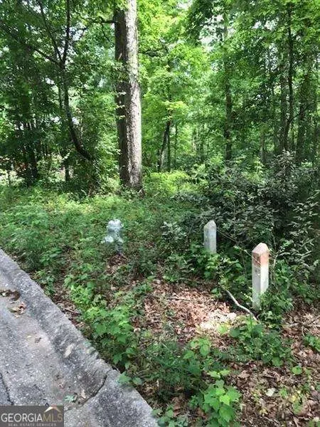 3291 Chesterfield Court, Snellville, GA 30039 - Image #3