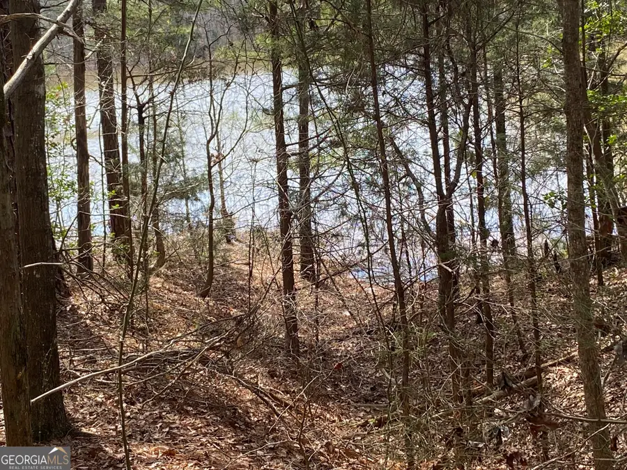 LOT 26 Omaha Drive, Elberton, GA 30635 - Image #2