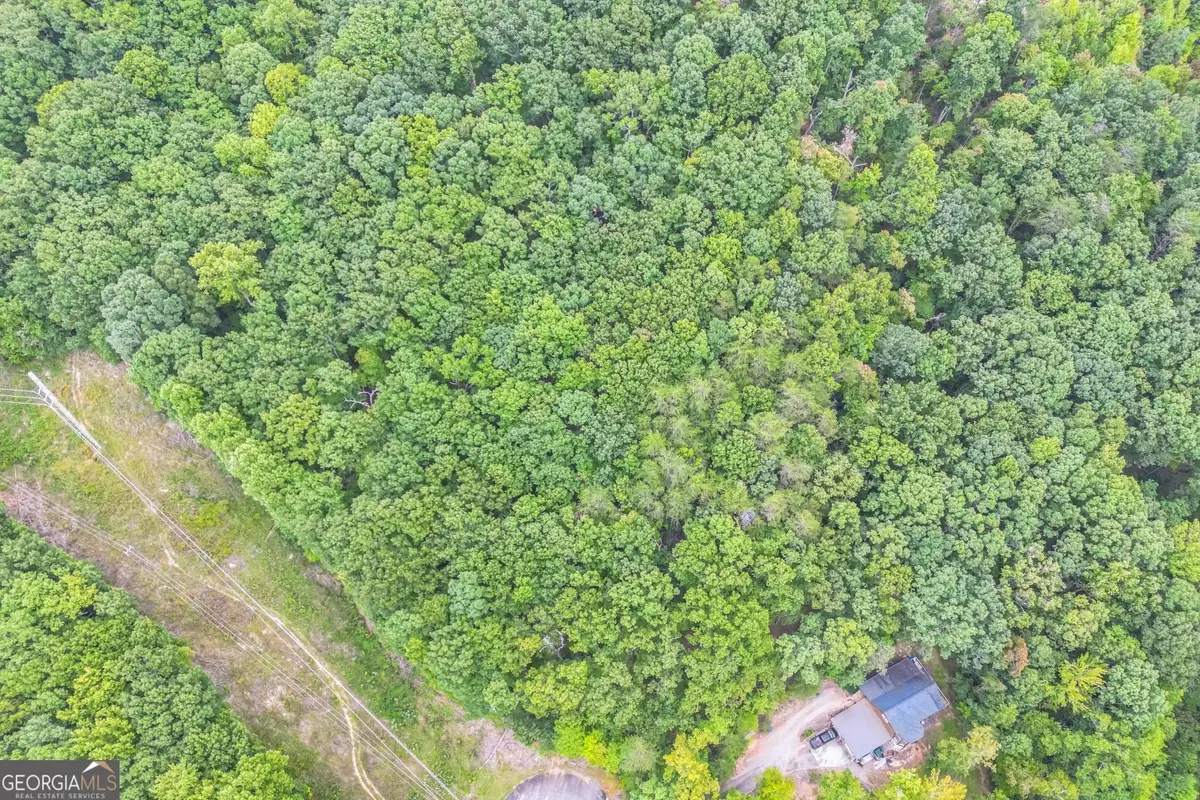 349 Turner Ridge Drive, Cleveland, GA 30528 - Image #1