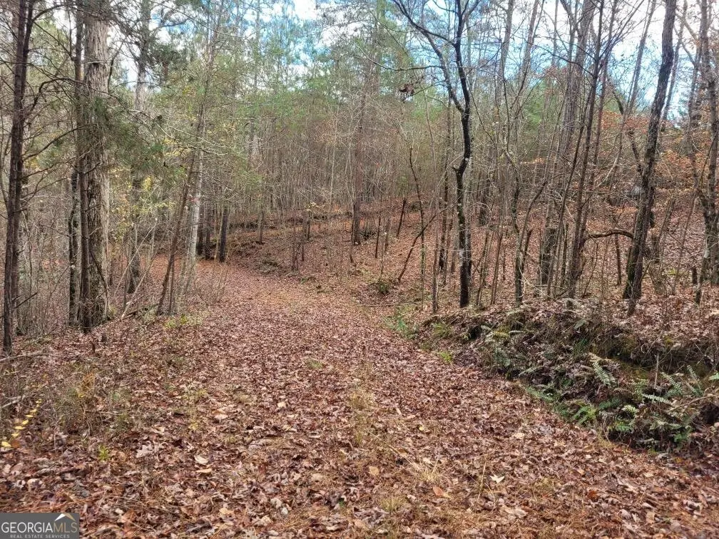 18.22 Talona Road, Ellijay, GA 30540 - #1