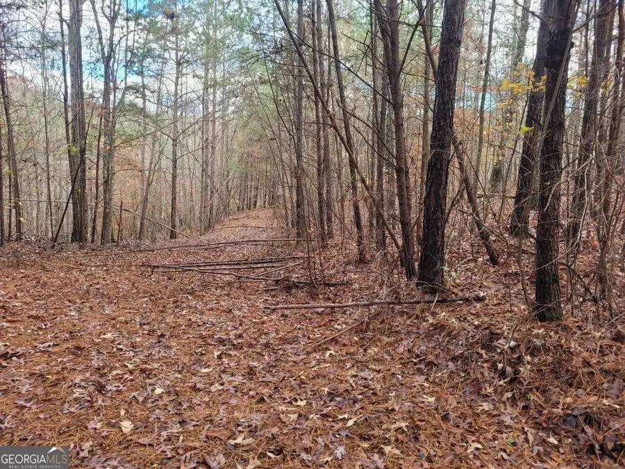 18.22 Talona Road, Ellijay, GA 30540 - #3