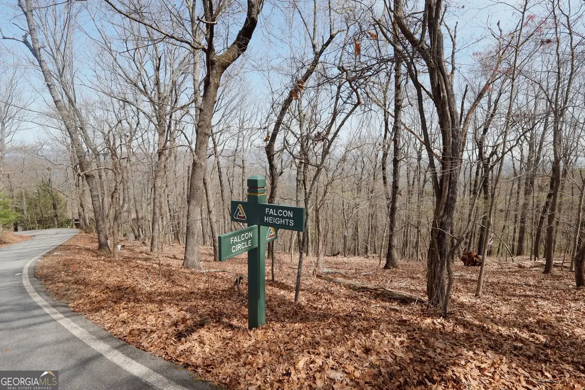 820 Falcon Heights, Big Canoe, GA 30143 - Image #1