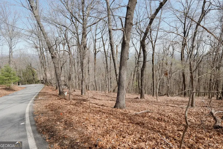 820 Falcon Heights, Big Canoe, GA 30143 - Image #2