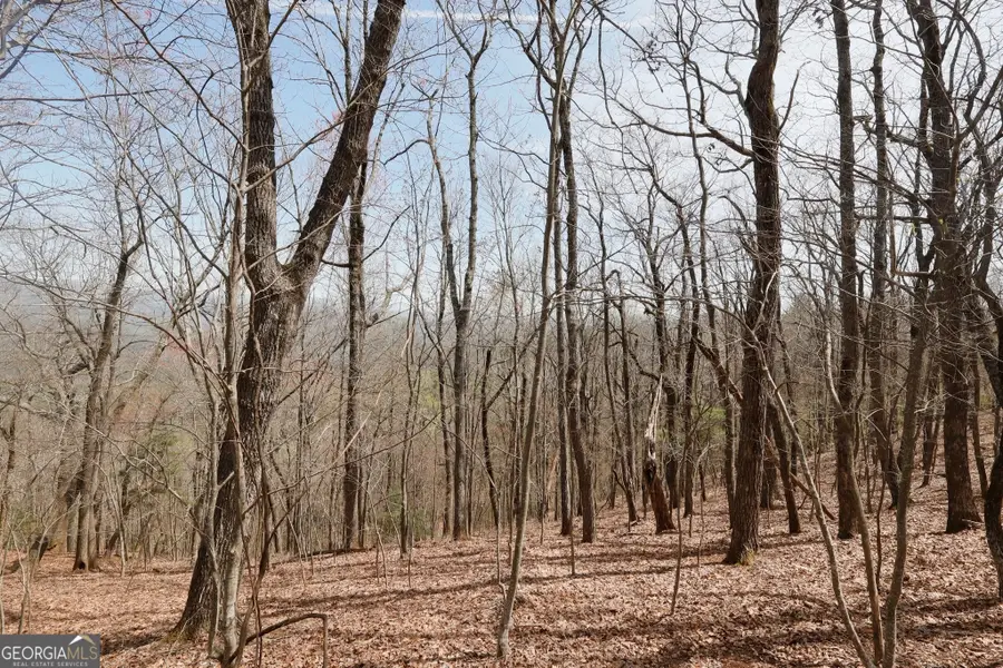 820 Falcon Heights, Big Canoe, GA 30143 - Image #3