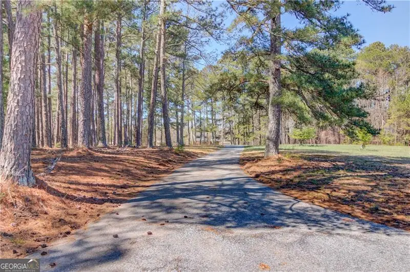 692 W Union Grove Circle, Auburn, GA 30011 - Image #3