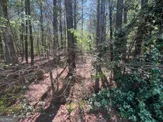 0 Troupe Smith Road Sw, Conyers, GA 30094 - Image #1