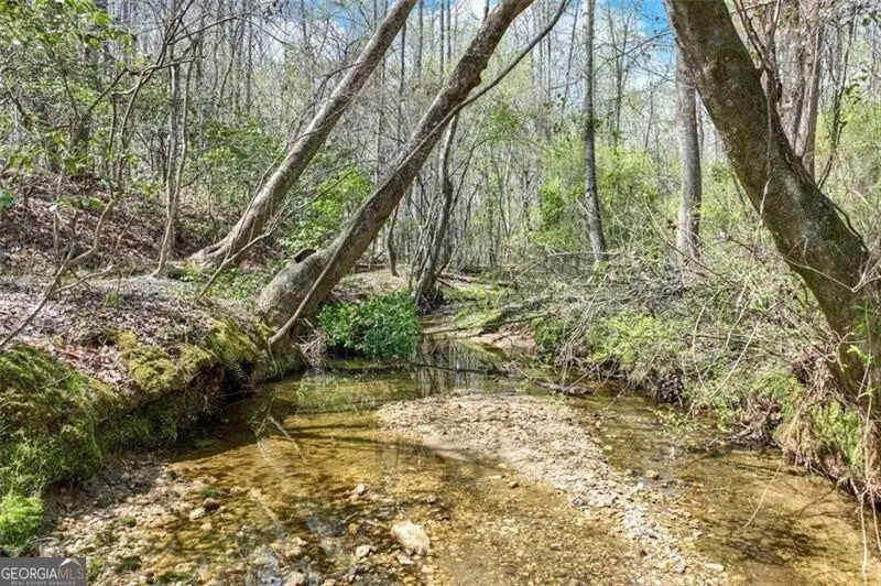 4033 Hidden Hollow Drive, Gainesville, GA 30506 - Image #2