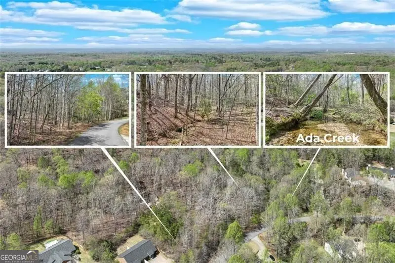 4033 Hidden Hollow Drive, Gainesville, GA 30506 - Image #3