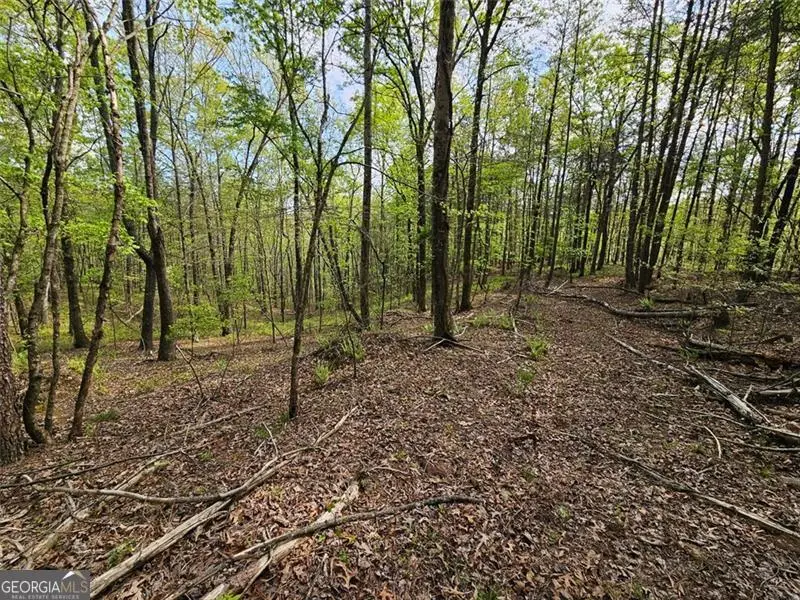0 Talc Mine, Jasper, GA 30143 - Image #3