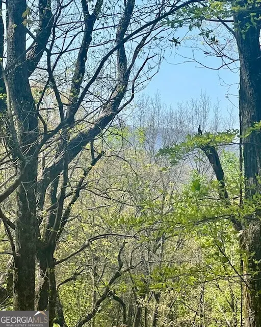 450 Wild Turkey Bluff, Dawsonville, GA 30534