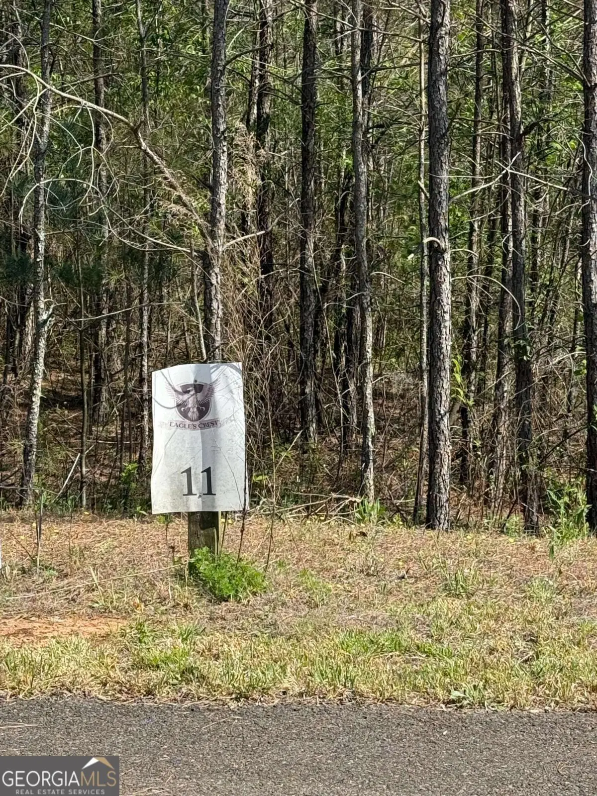 0 Eastview Trail, Ellijay, GA 30536 - Image #1