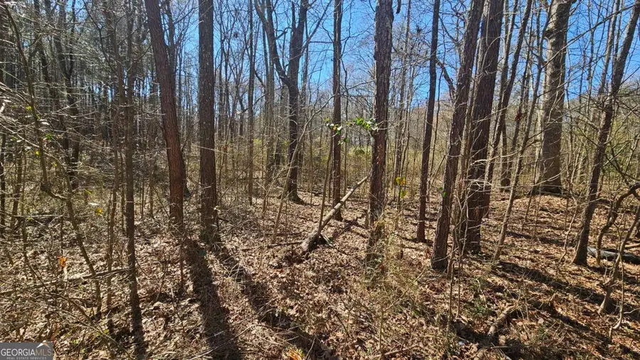 0 Cook Drive, Ellenwood, GA 30294 - Image #3