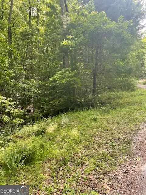 0 Mccormick Drive, Dawsonville, GA 30534 - Image #2