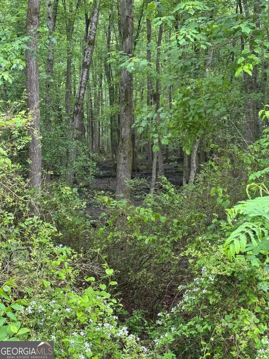 0 Friendship Church Road Sw, Powder Springs, GA 30127 - Image #3