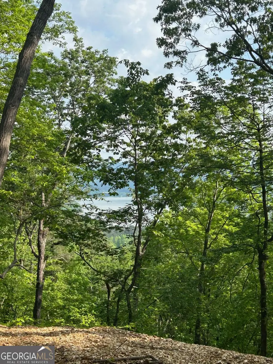 324 Adair Drive, Ranger, GA 30734 - Image #3