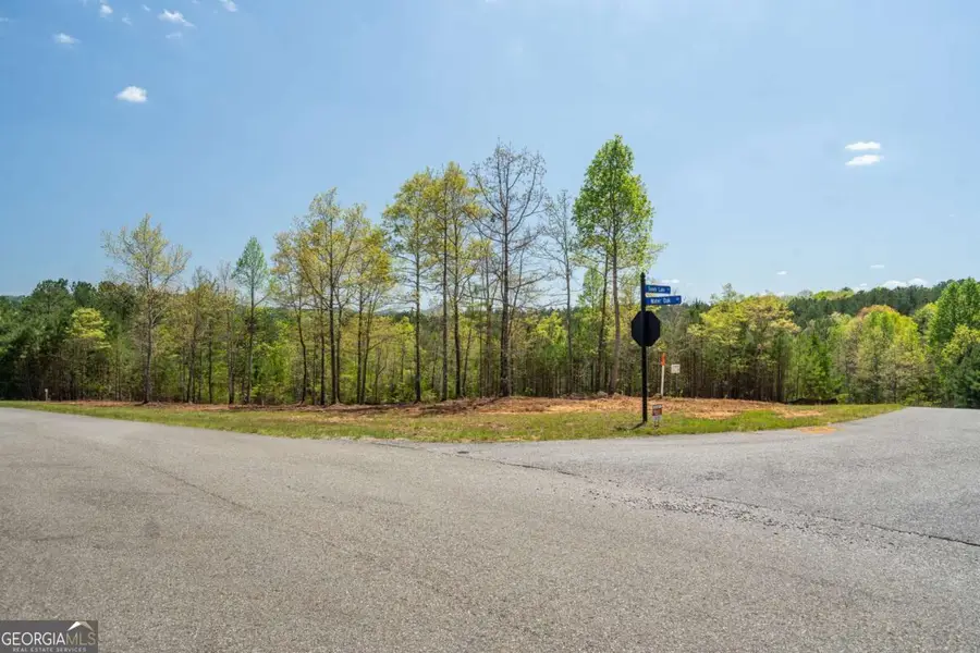 LOT 41 Sandy Lake Lane, Blairsville, GA 30512 - Image #2