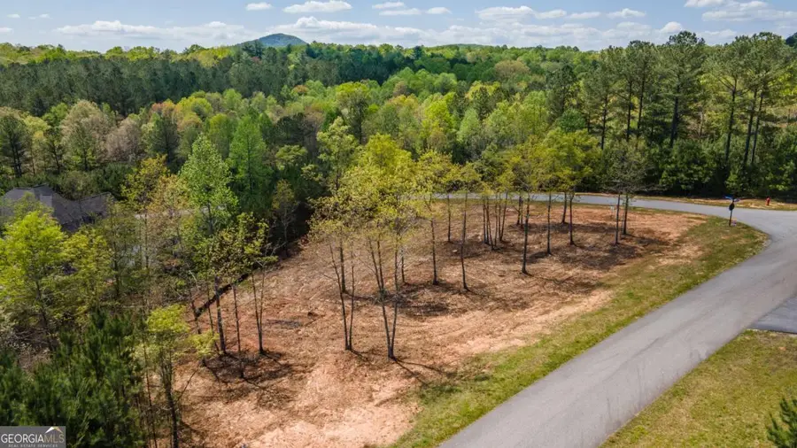 LOT 41 Sandy Lake Lane, Blairsville, GA 30512 - Image #3