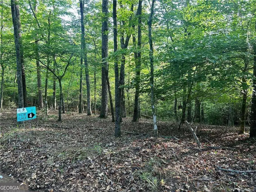 03 Kate Road, Dahlonega, GA 30533 - Image #2