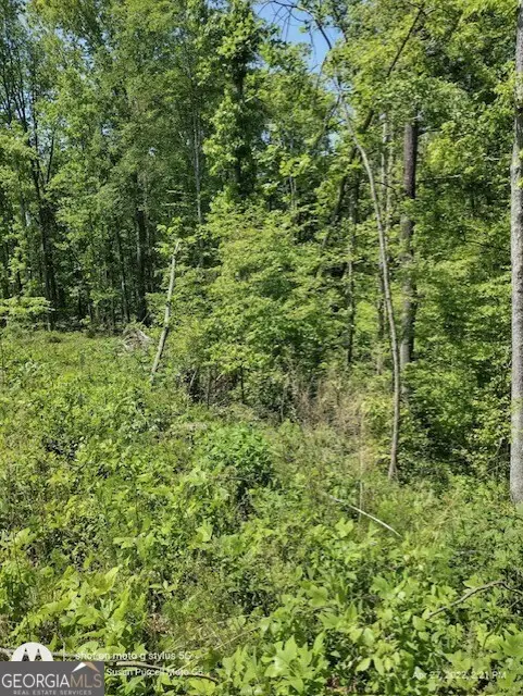 620 Ivy Creek Drive, Nicholson, GA 30565 - Image #2