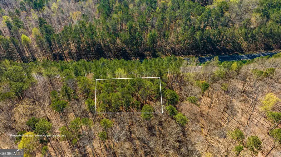 0 Highway 92, Fairburn, GA 30213 - Image #2