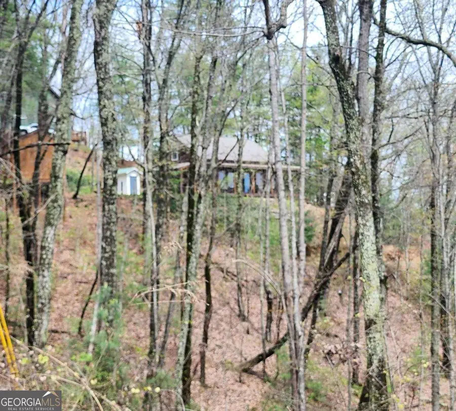 0 Dowell Circle, Ellijay, GA 30540 - Image #2