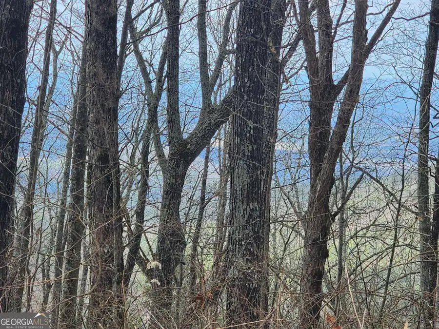 0 Dowell Circle, Ellijay, GA 30540 - Image #3