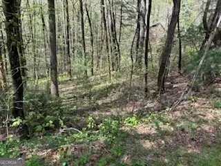 #3