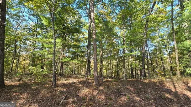 865 Bolster Lane Ne, Ranger, GA 30734 - Image #3