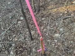 #1