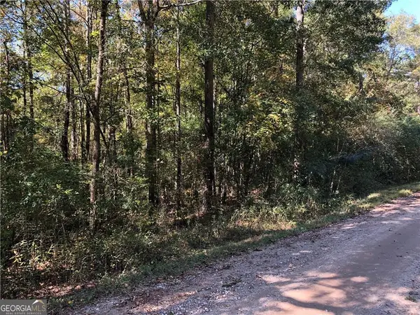 0 Coady Road, Jackson, GA 30233