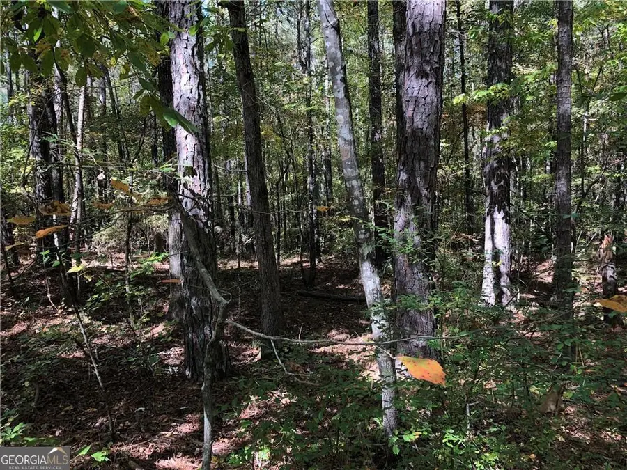 0 Coady Road, Jackson, GA 30233 - Image #2