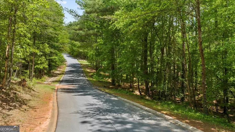 0 Golden Delicious Road, Clarkesville, GA 30523 - Image #2