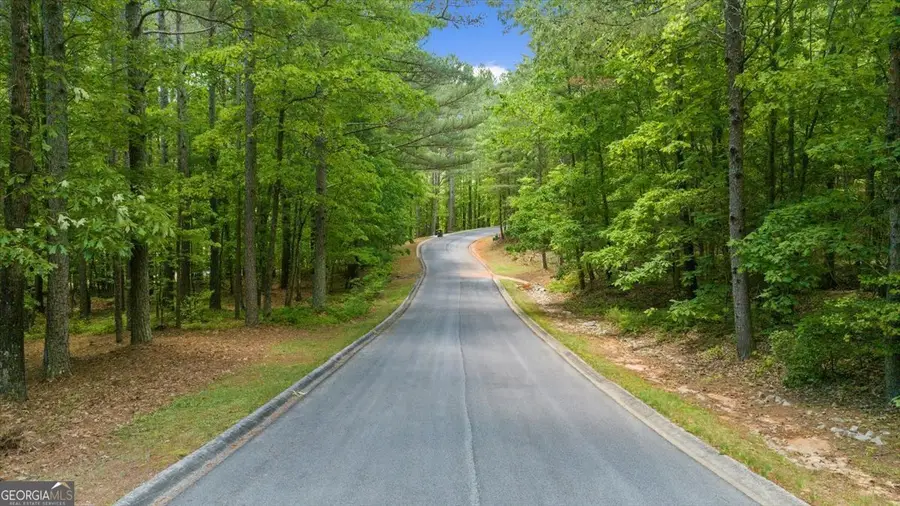 0 Golden Delicious Road, Clarkesville, GA 30523 - Image #3