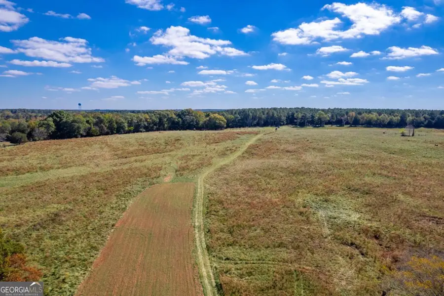 LOT 14 Wallace Road, Madison, GA 30650 - Image #3