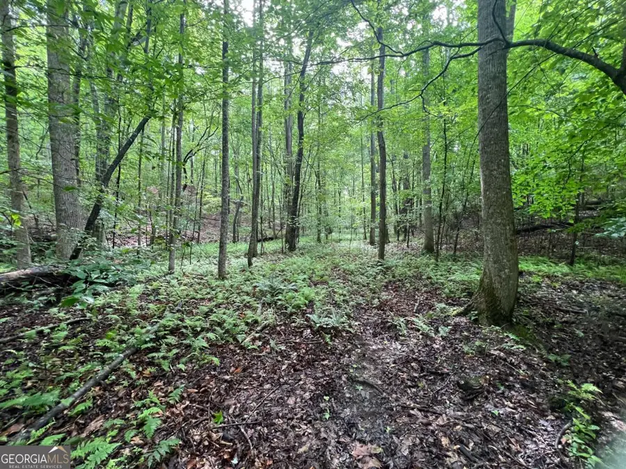 395 Able Road, Waleska, GA 30183 - Image #3