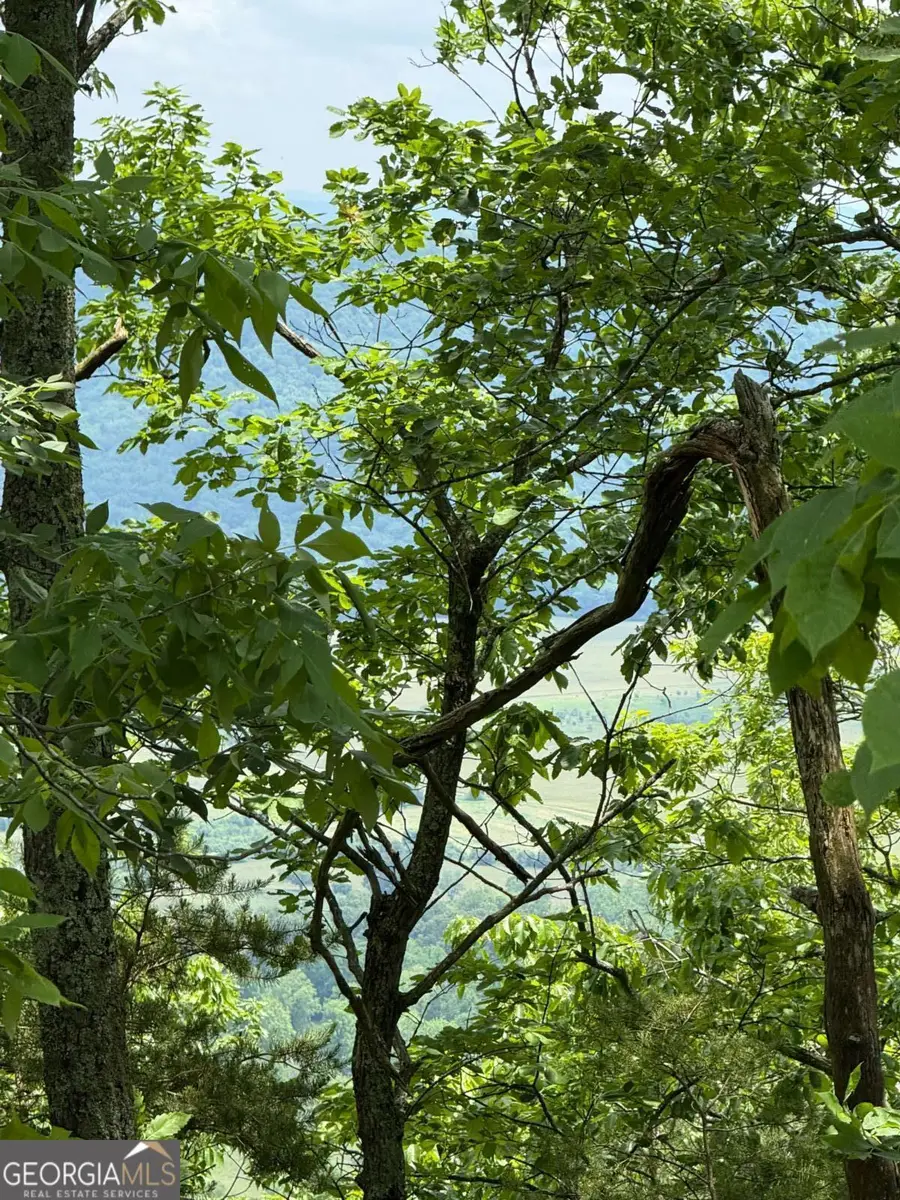 157 Hwy, Menlo, GA 30731 - Image #2